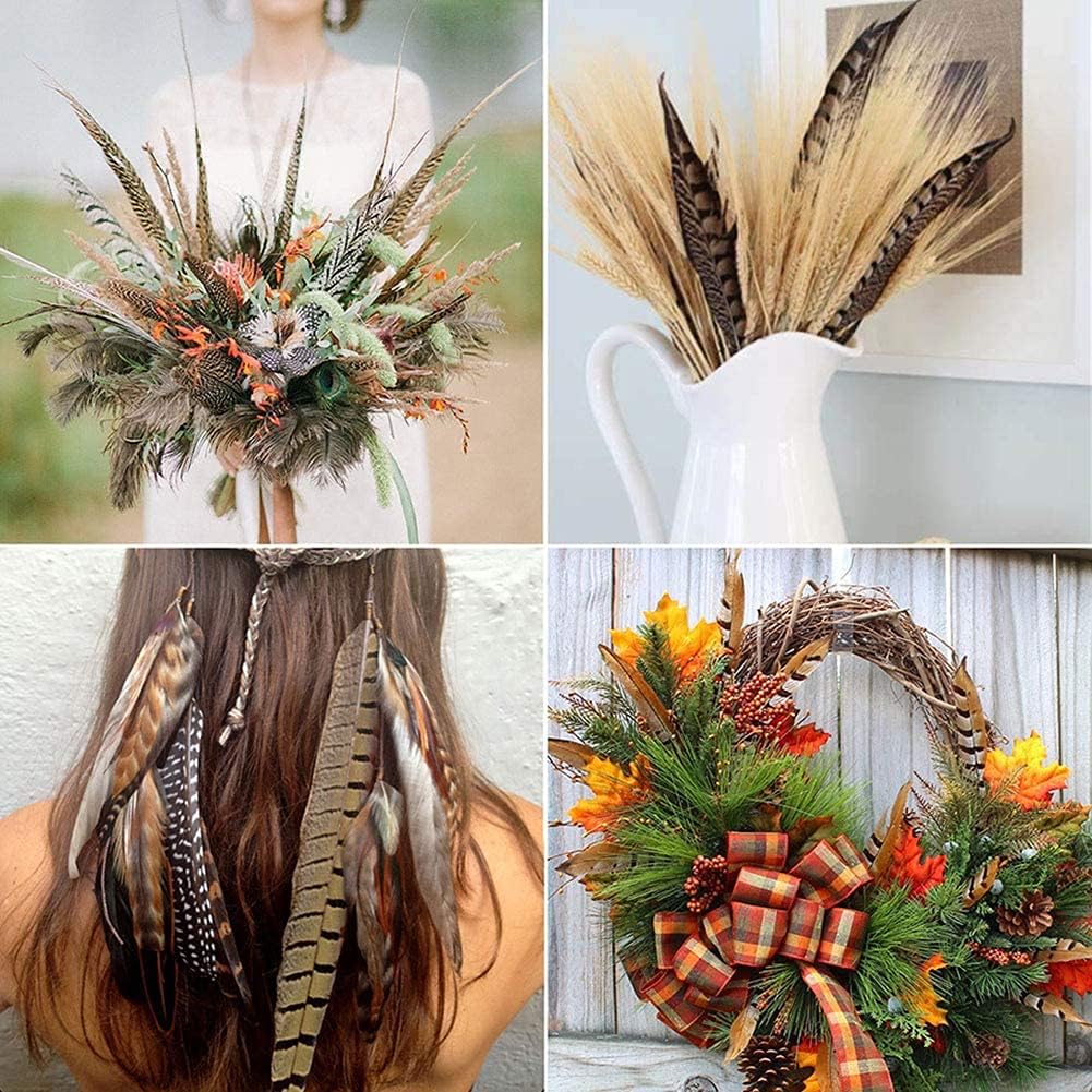 Natural Pheasant Feathers 4 Style 15-20cm 12pcs Natural Feathers for DIY Craft Home Party Decorations FF03