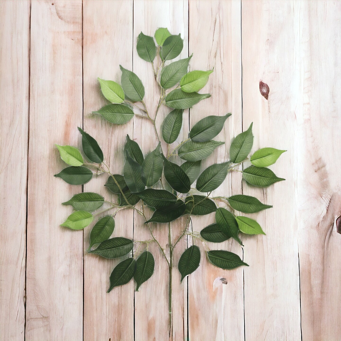 12-Pack: Green Ficus Spray with 42 Silk Leaves by Floral Home&#xAE;