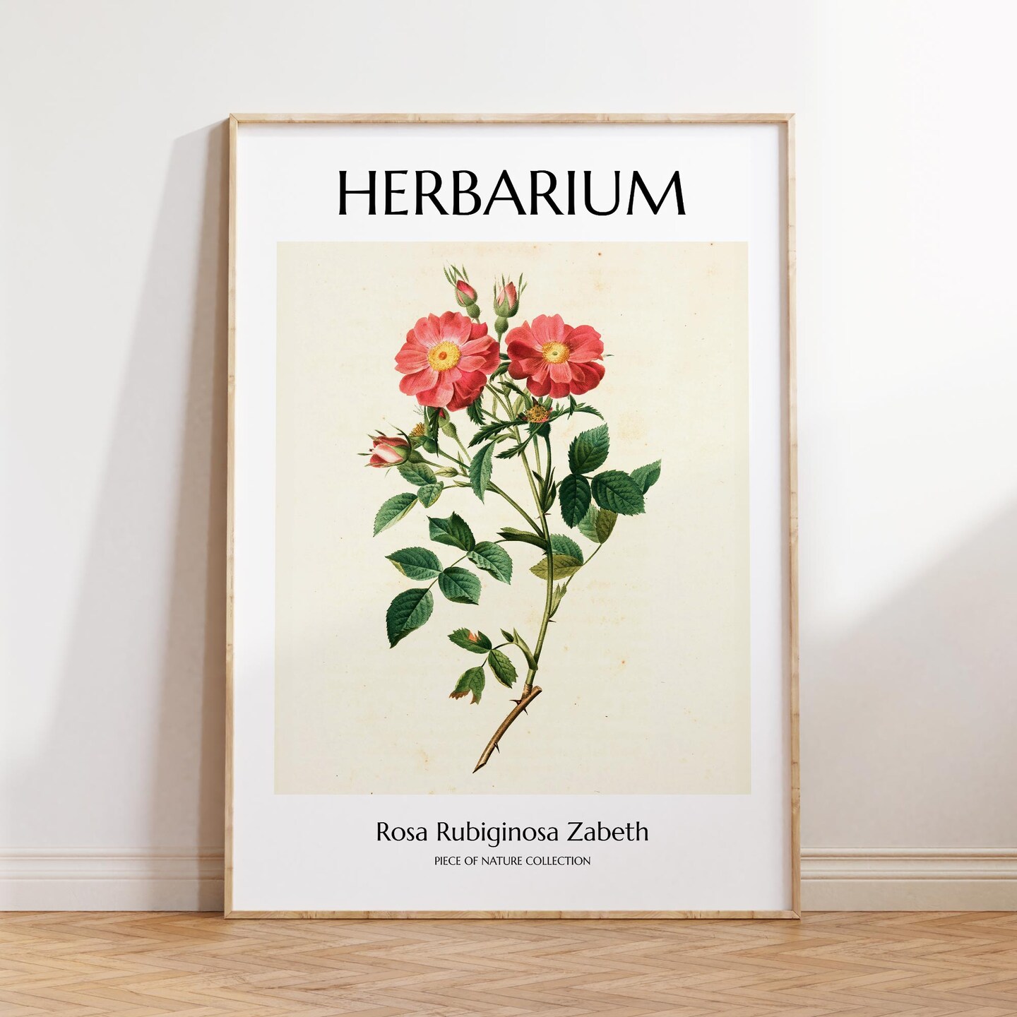 Rose Print Red Rose Poster Antique Flower Print Vintage Rose Painting Rose  Flower Wall Decor Antique Red Rose Art Wild Rose Poster UNFRAMED |  MakerPlace by Michaels, image size:1080x1080