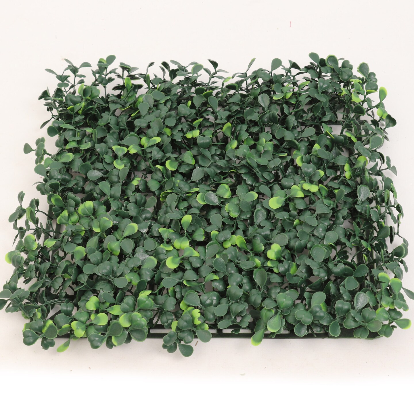 12-Pack: Green Boxwood Square Panels, 10&#x22;x10&#x22; by Floral Home&#xAE;