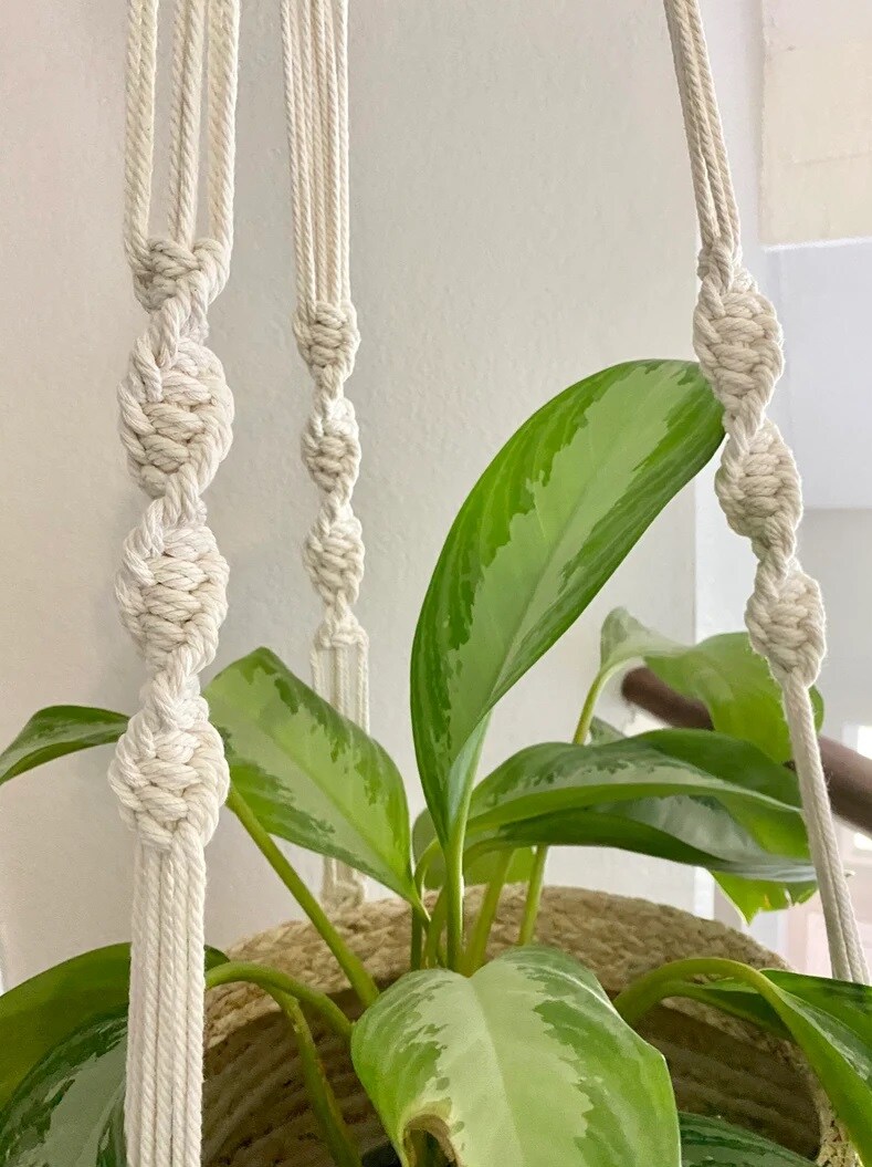 house plant water can Metal Watering Can main image 0