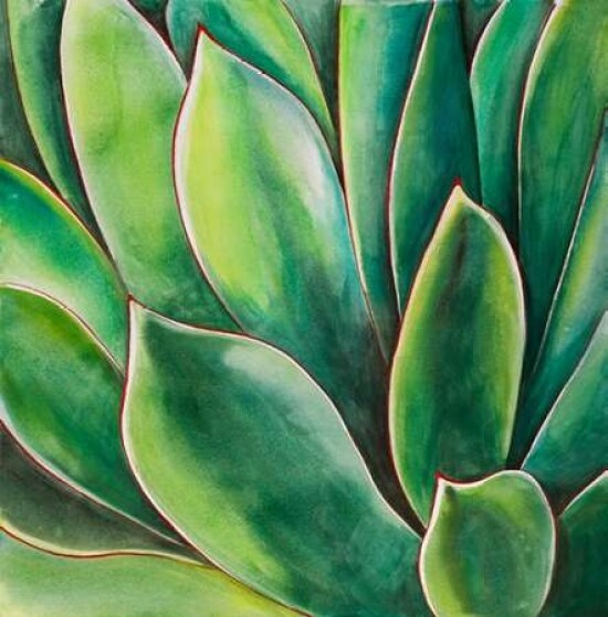 alocasia zebrina blatt hängt Alocasia zebrina 'Reticulata' – Blattmanufaktur main image 0