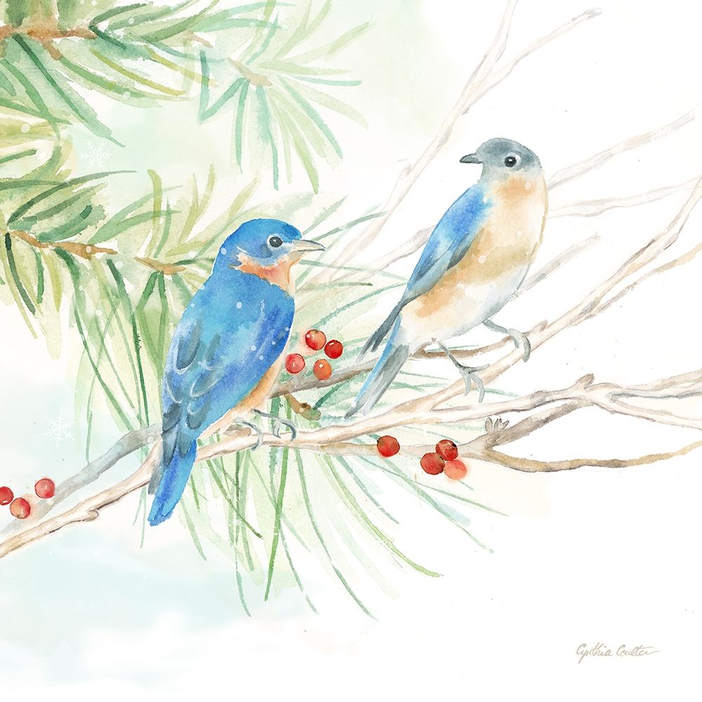 Winter Birds Iii Bluebirds Poster Print by Cynthia Coulter - Item # VARPDXRB12405CC