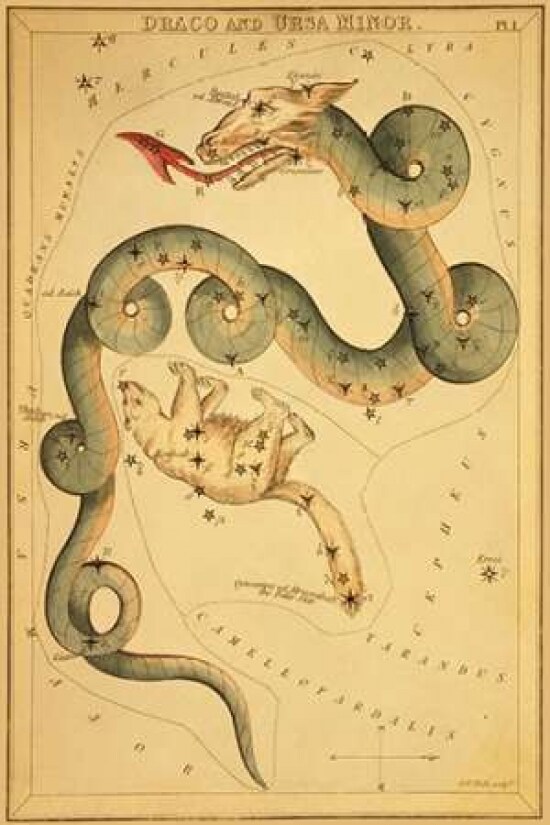 Draco and Ursa Minor 1825 Poster Print by  Jehoshaphat Aspin - Item # VARPDX341833
