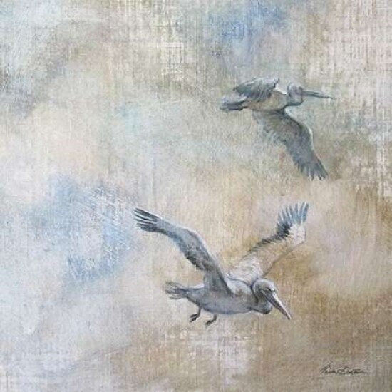 Coastal Birds II Poster Print by Paula Giltner - Item # VARPDXGTR101