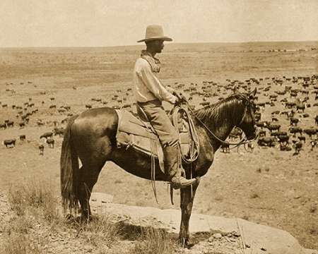 A Texas cowboy, 1907 - Sepia Poster Print by Erwin Smith - Item # VARPDX464683
