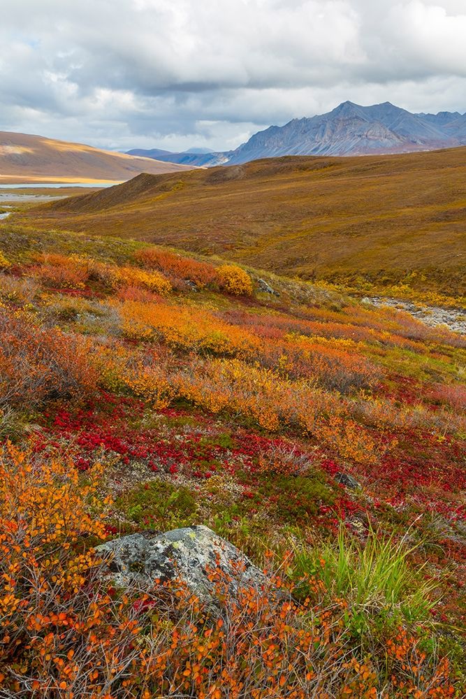 Arctic National Preserve II Poster Print by Kathy Mahan - Item # VARPDXPSMHN755