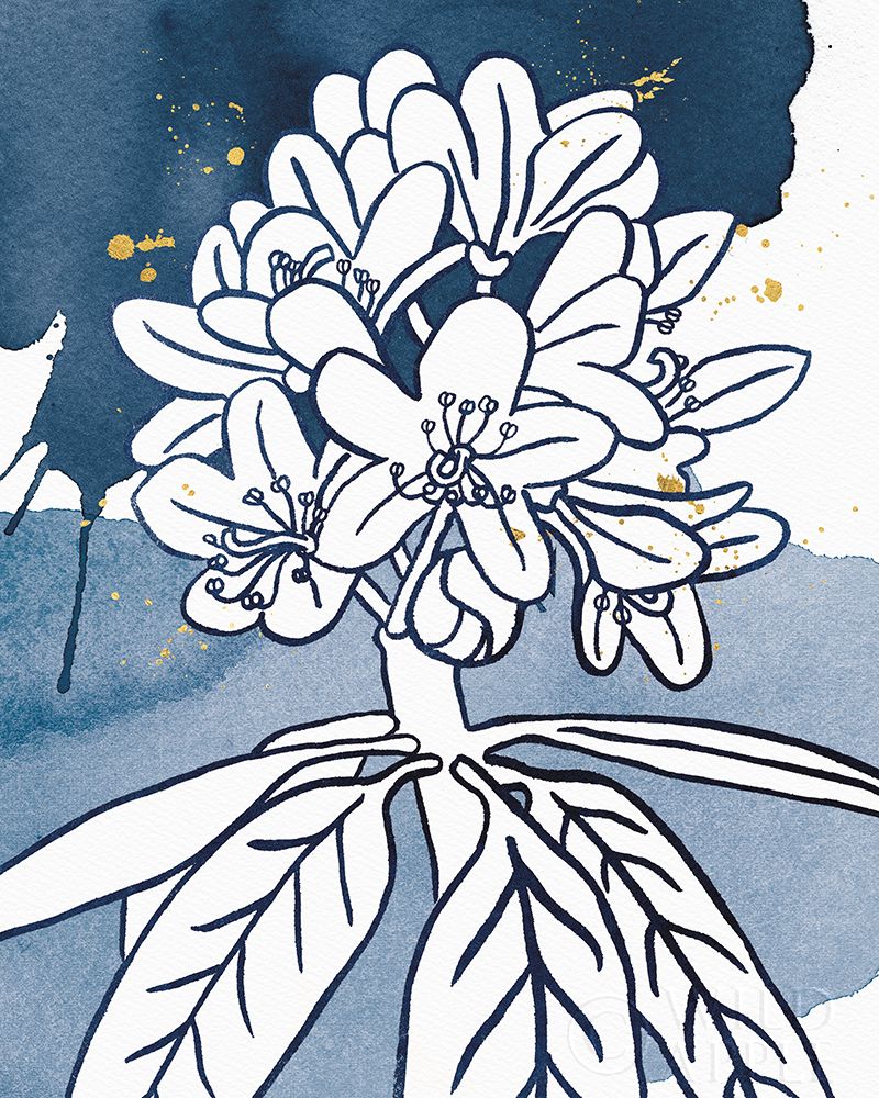 Indigo Blooms II Poster Print by Wild Apple Portfolio Wild Apple Portfolio # 63542