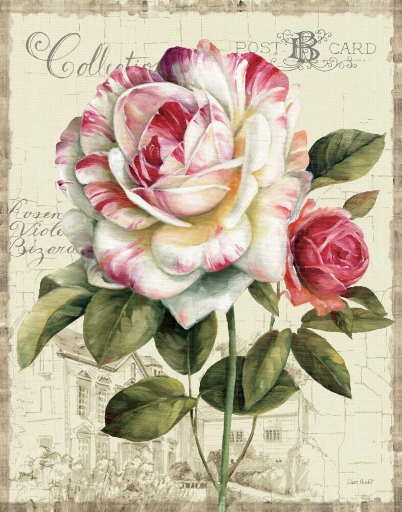 Garden View III - Rose Poster Print by Lisa Audit - Item # VARPDX10378