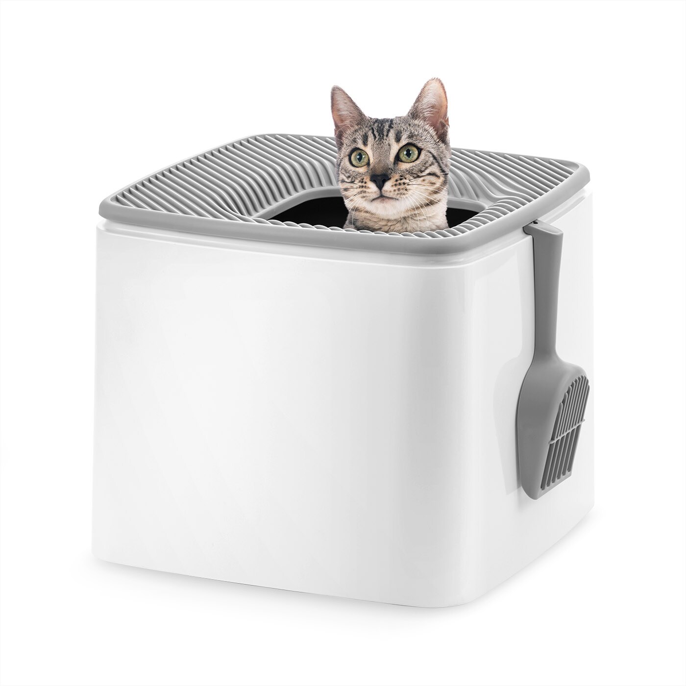 IRIS USA Premium Top Entry Cat Litter Box Litter Particle Catching Cover and Privacy Walls with Scoop
