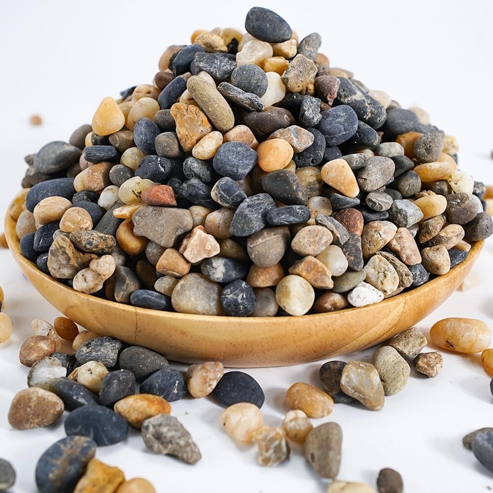 6Lbs Natural River Rocks, Succulent Cactus Gravel for Plants, Bonsai ...