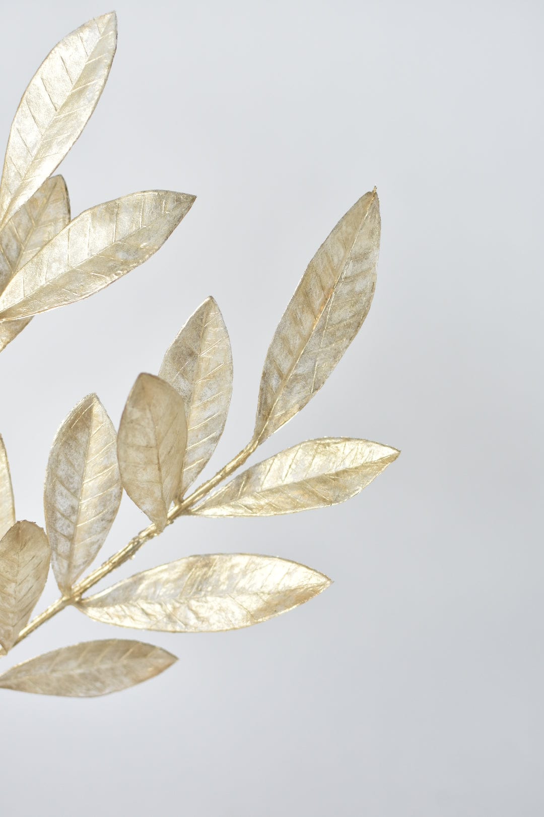 23&#x22; Faux Gold Capiz Bay Leaf Stem