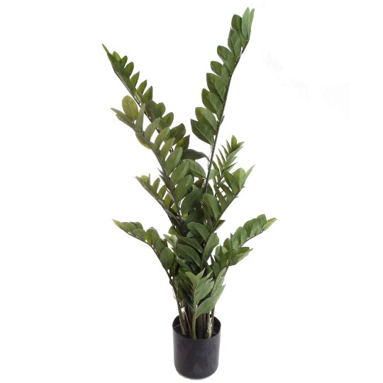Zamifolia Bush in Black Pot: Set of 2, 43-Inch, 220 Leaves by Floral Home&#xAE;