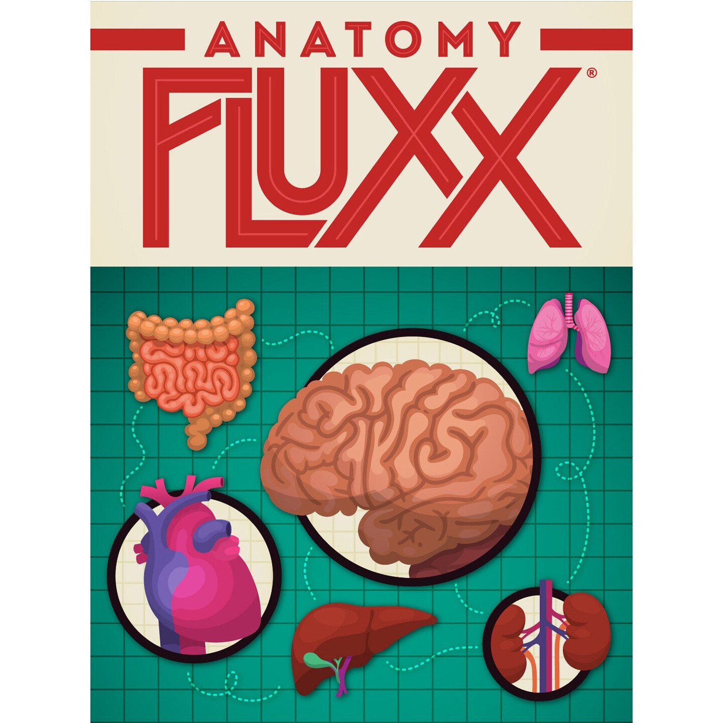 Anatomy Fluxx&#xAE; Card Game