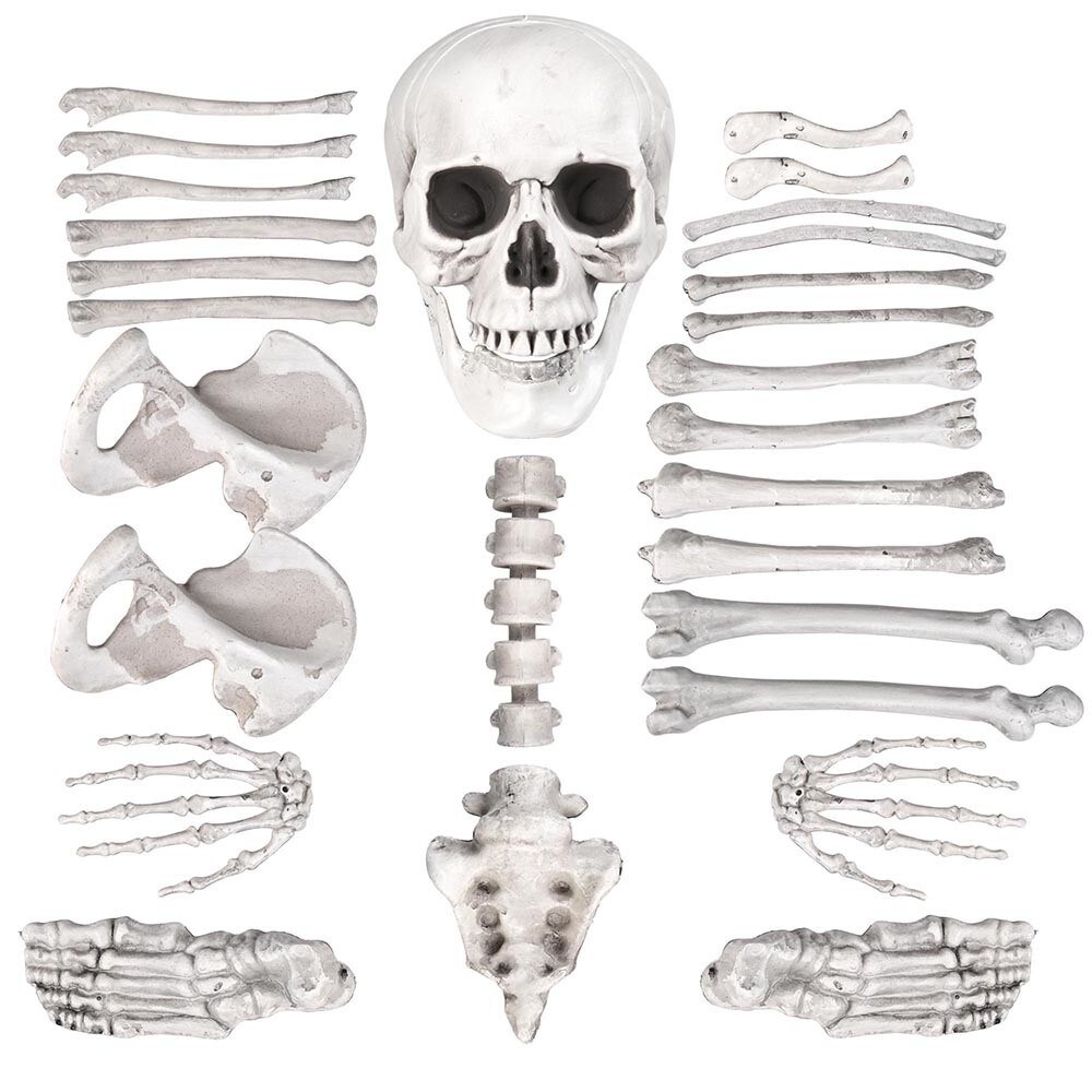 Halloween 28 pieces Skeleton Bones