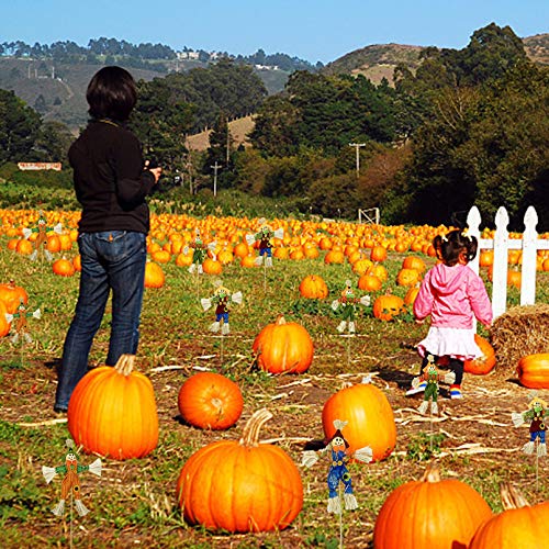 EBaokuup 10 PCS Halloween Scarecrow Decoration - 11.8 Inch Fall Harvest Scarecrow Thanksgiving Scarecrow Fall Harvest Standing Scarecrow Decor for Autumn, Halloween, Garden, Yard Decoration