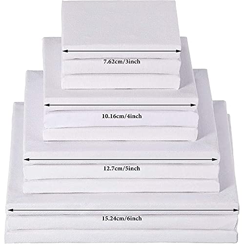 12 Pieces Assorted Size Mini Art Canvas Stretched for Craft Painting Drawing (3 Inches, 4 Inch, 5 Inch, 6 Inch)