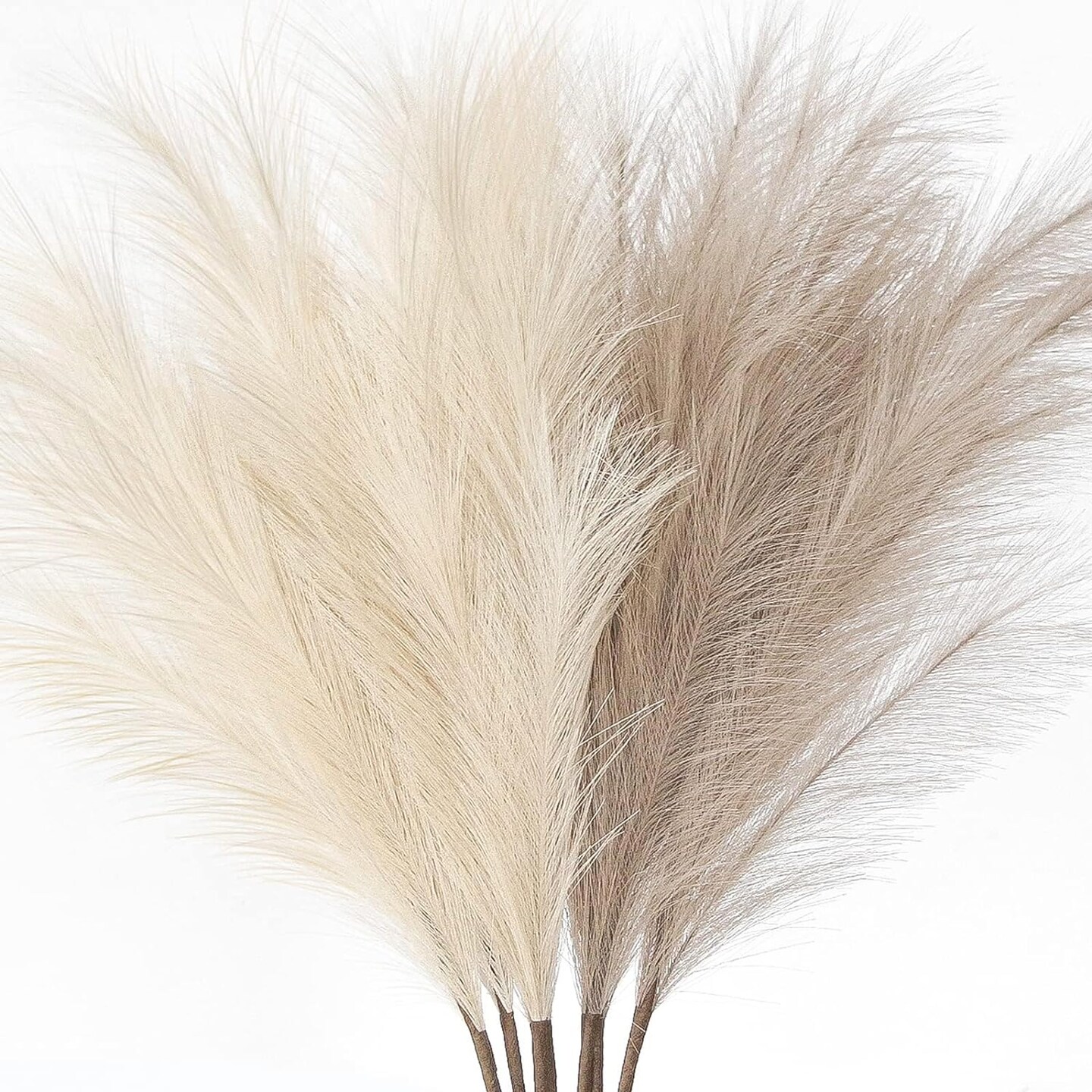 Pampas Grass: Elegant Decor for Home and Wedding Decor