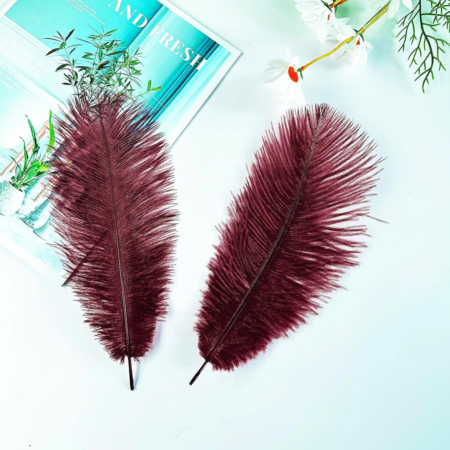 Stylish Natural Feathers