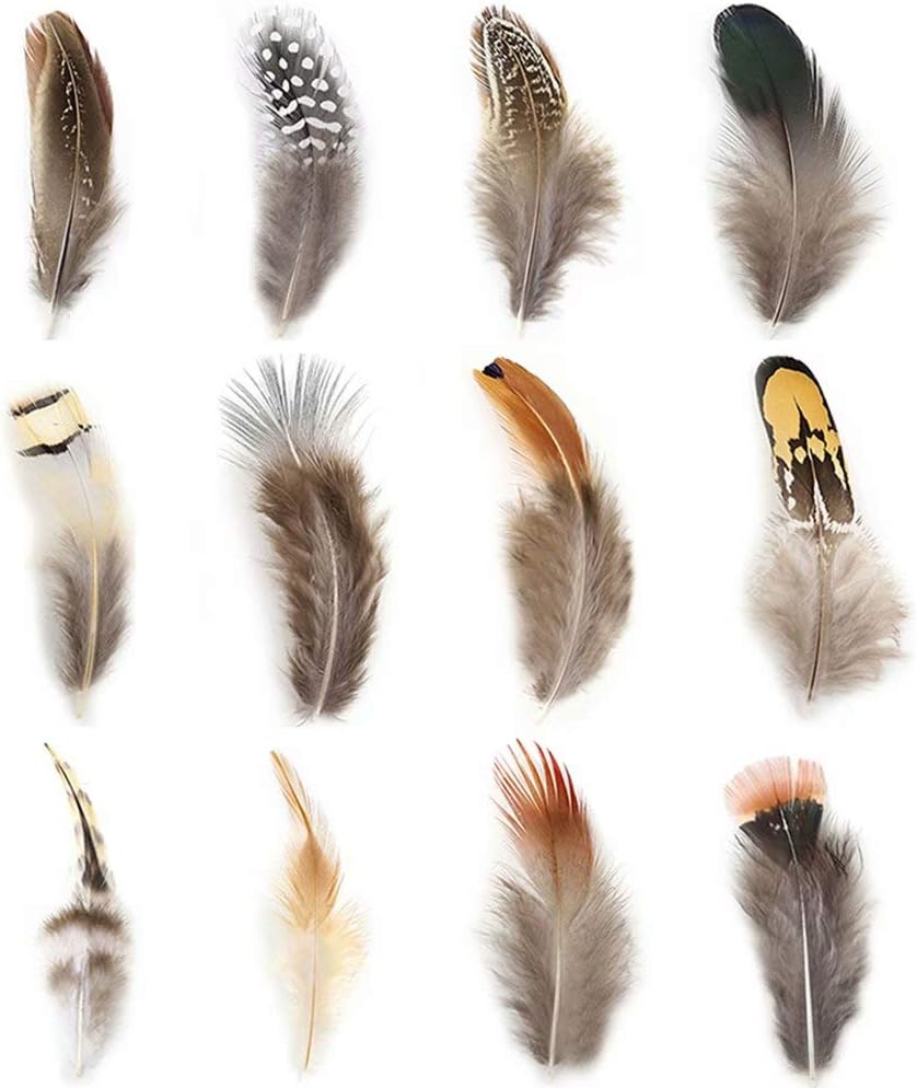 Natural Assorted Mixed Feathers