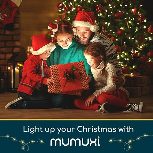 MUMUXI Led Fairy Lights Battery Operated Lights [16 Pack] Mason Jars Centerpiece Wedding Decor String Lights Battery Powered Lights, Christmas, Copper Wire Small Battery Fairy Lights (10ft Warm White)