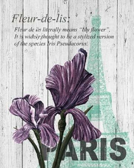 Paris Iris Poster Print by Alicia Soave - Item # VARPDXS1329D