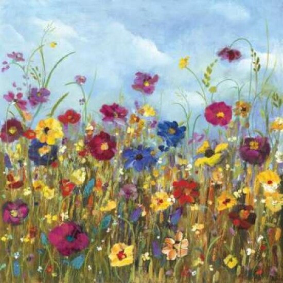 Sunshine Meadow II Poster Print by Carmen Dolce