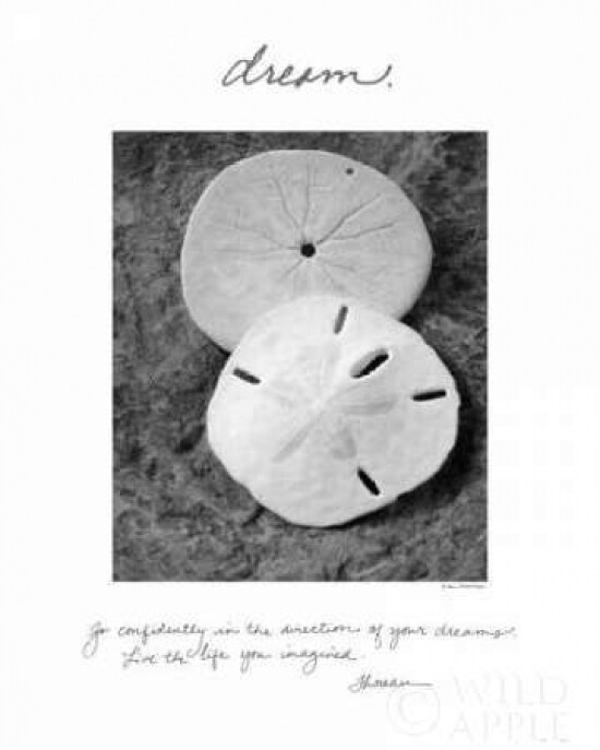 Dream Poster Print by Debra Van Swearingen - Item # VARPDX5834