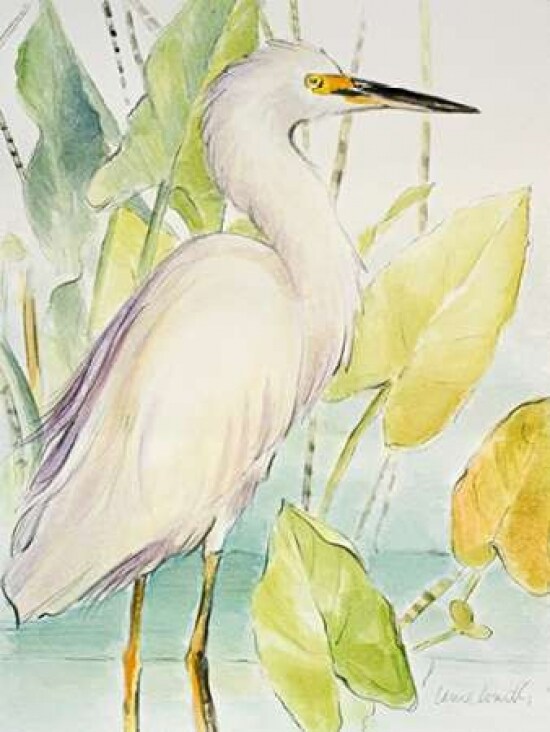 Snowy Egret Poster Print by Lanie Loreth - Item # VARPDX9782