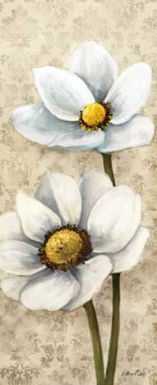 Winter White Poppies Panel II Poster Print by Vittorio Milan - Item # VARPDXRB9319VM