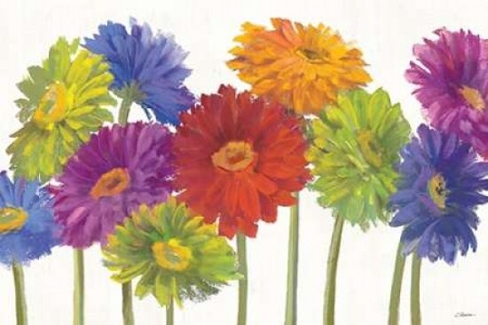 Colorful Gerbera Daisies Poster Print by Carol Rowan - Item # VARPDX17595