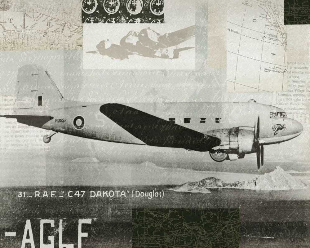 Wings Collage IV Poster Print by Wild Apple Portfolio - Item # VARPDX13950