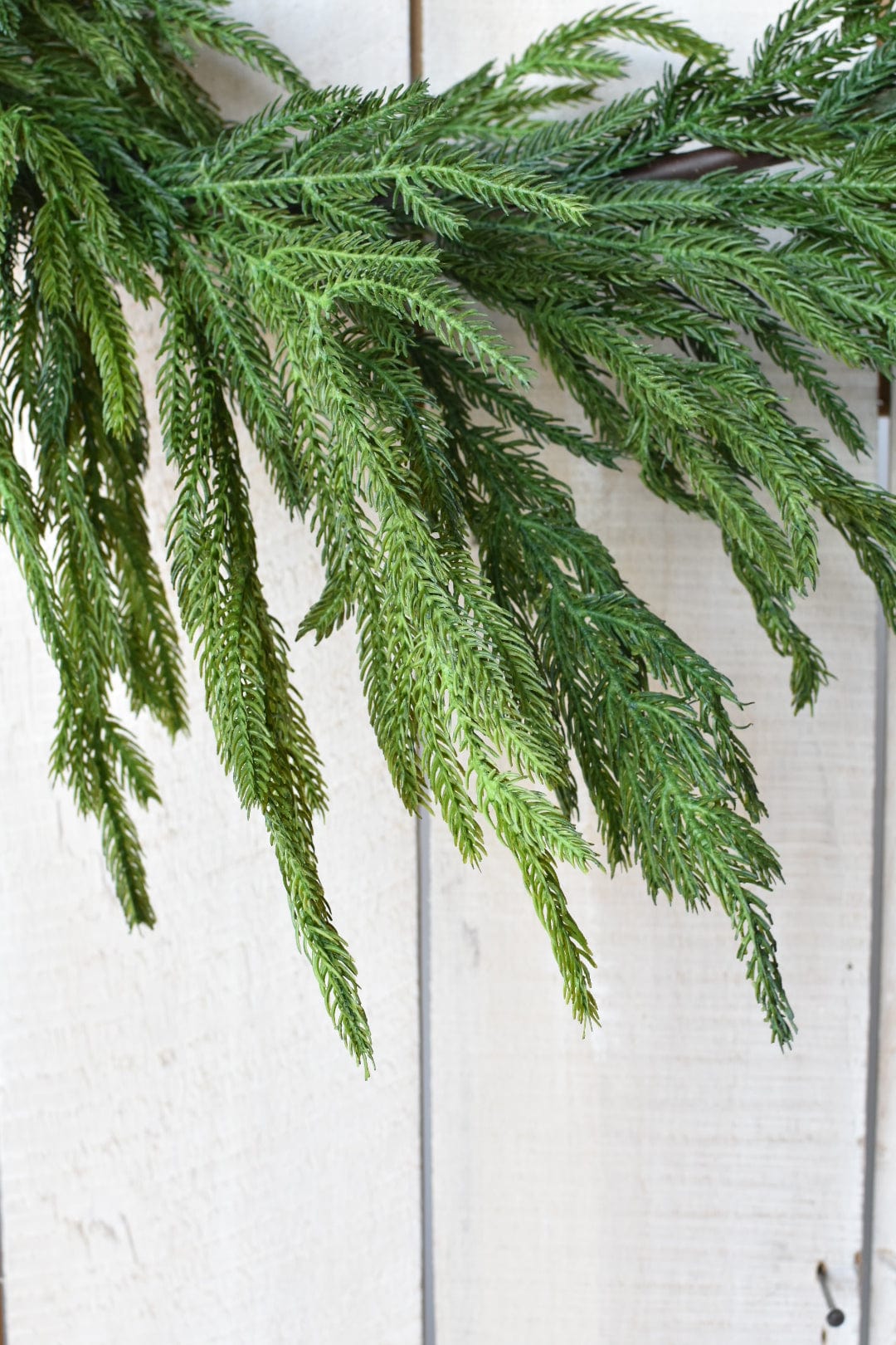 15&#x27; (180 inches) RealTouch HouseFloral Norfolk Pine Garland