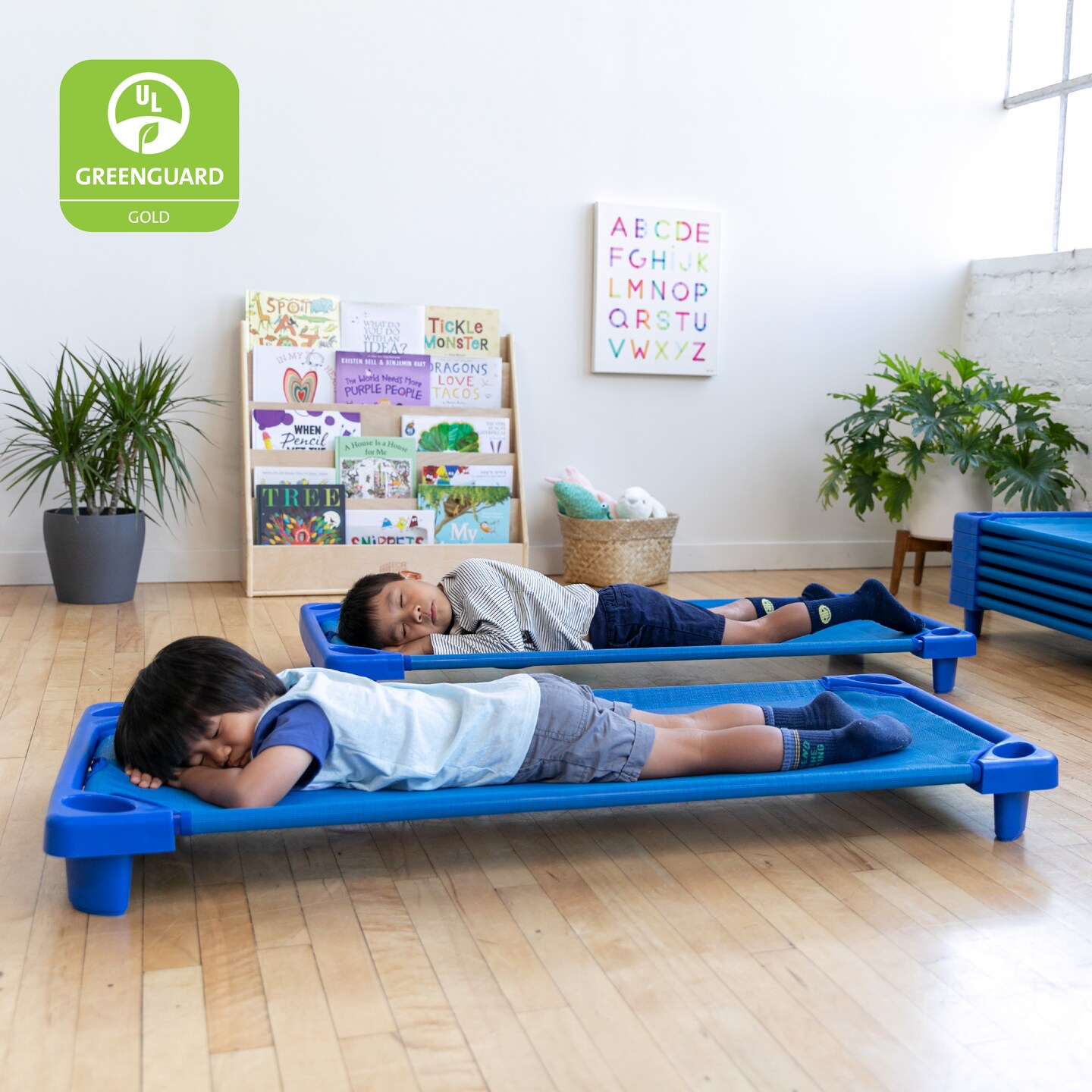 Daycare Sleeping Cots Ready To Assemble 6-pack 6-Pack Stackable Daycare ...