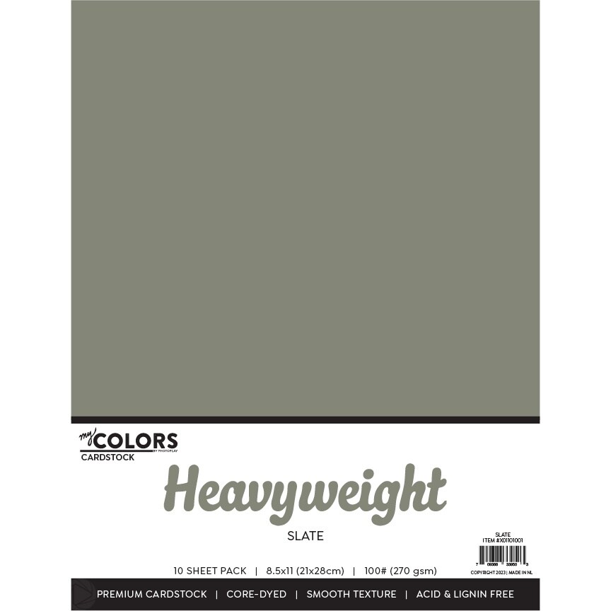 My Colors 100lb Heavyweight Cardstock 8.5&#x22;X11&#x22; 10/Pkg-Slate