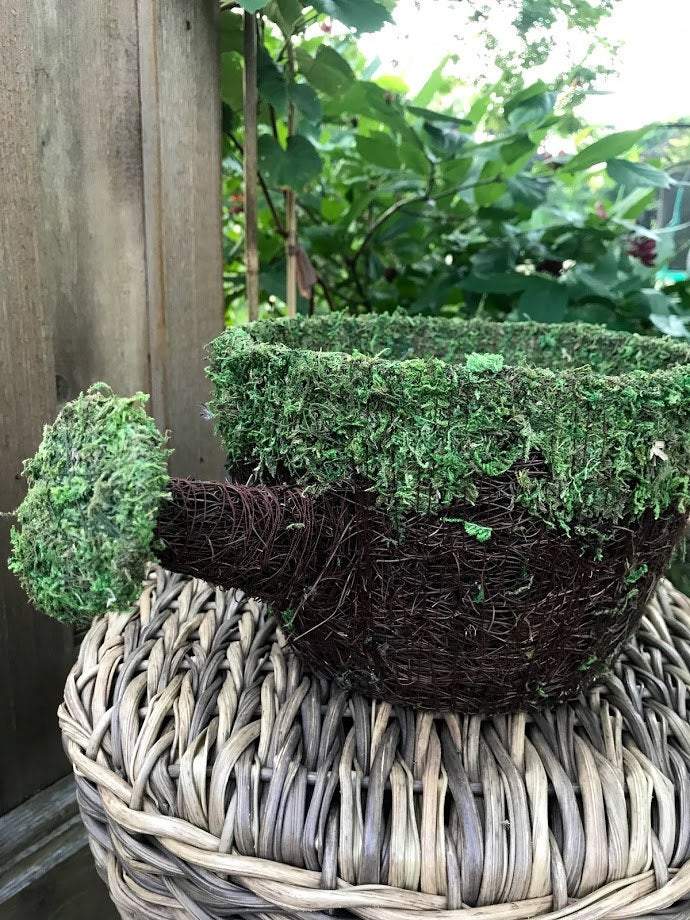 Watering Can PLANTER - Natural MOSS &#x26; Wicker