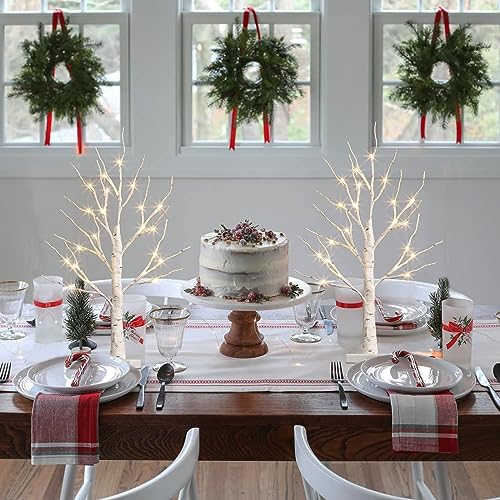 2 FT Birch Tree with LED Lights, Warm White Light up Tree Lamp, Fairy Light Spirit Tree for Xmas Indoor Home Table Fireplace Decor, Battery Powered, 6H/18H Timer (2PK)