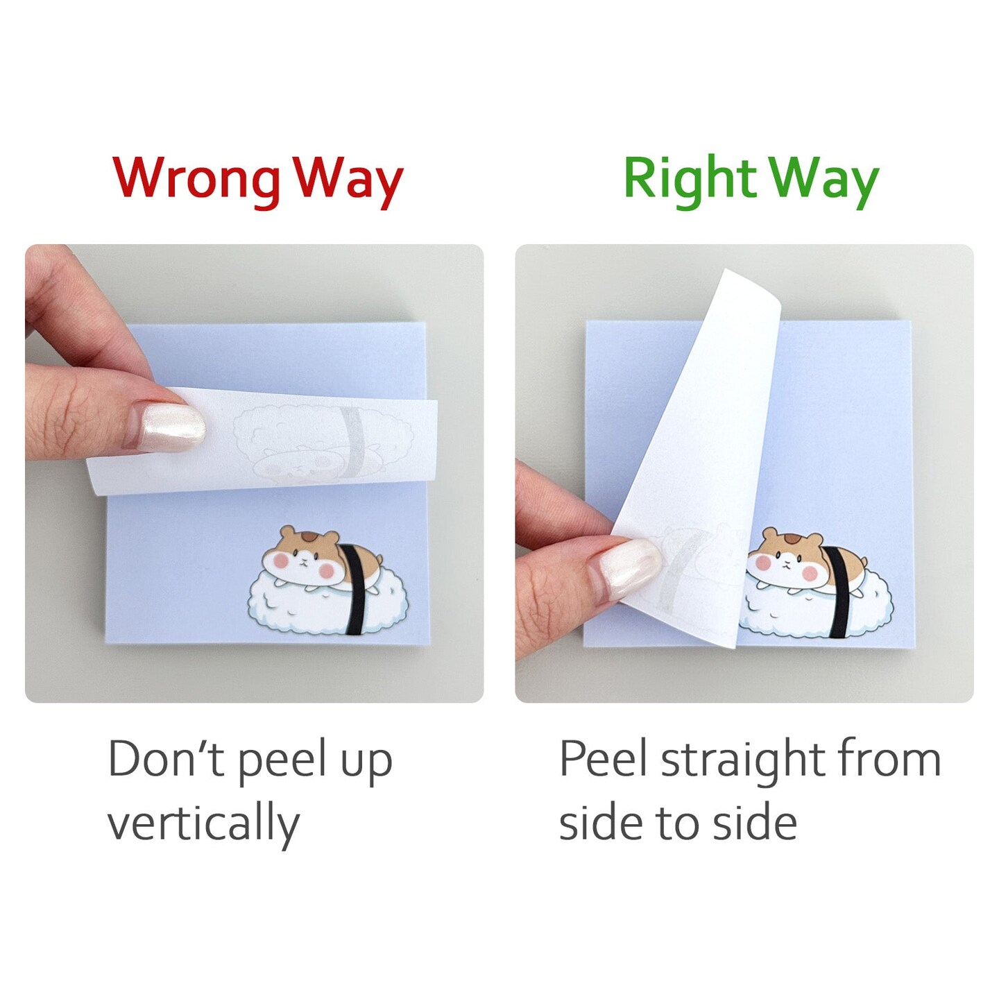 Wrapables Funny Chipmunks Sticky Notes, Adhesive Memo Notepads for Home, Office, Work (Set of 4)