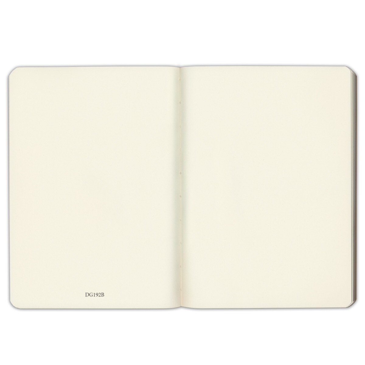 Gallery Leather Blank/Sketch Journal - 192 Pages, Softcover, For Drawing, Sketching, Writing, Work & Travel - 8 x 5.5