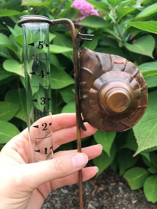 Rain Gauge - Snail