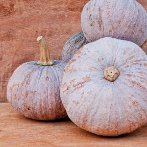 Project Party- Faux Terra Cotta Pumpkin