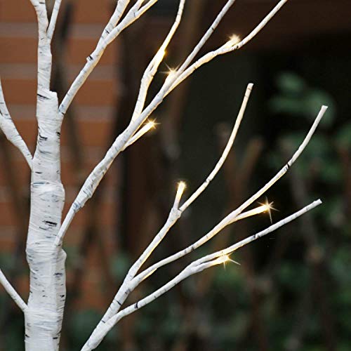 EAMBRITE Tabletop Tree Christmas Decorations, Mini Birch Tree with Lights, 24 LED Lighted Money Tree White Twig Tree Battery Operated with Timer, Home Centerpiece, Indoor Decor(2FT/Warm White)