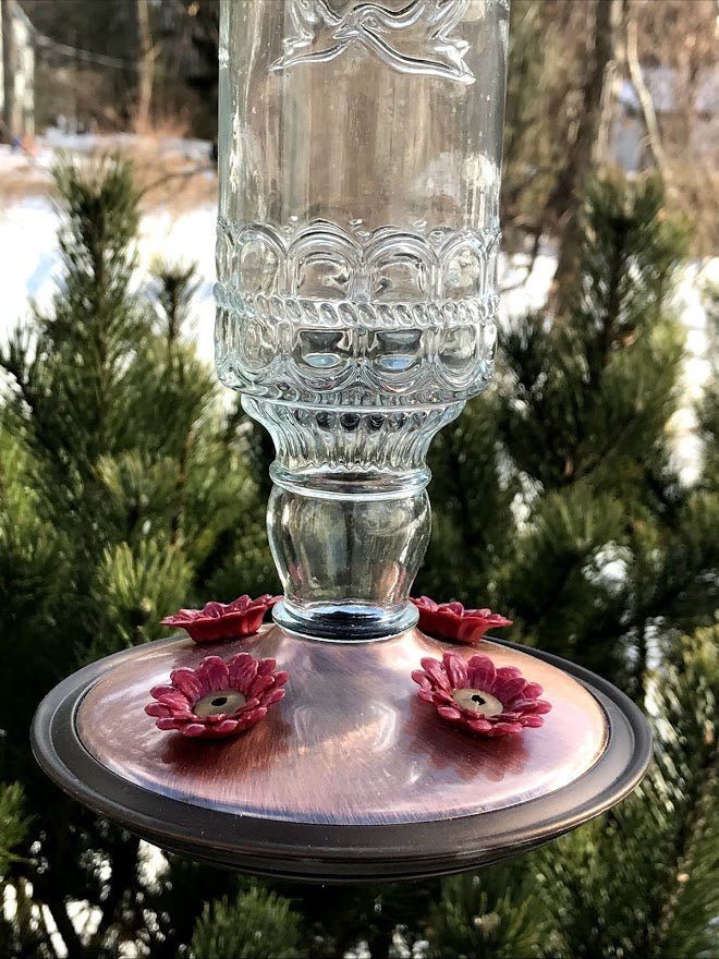 Hummingbird Feeder SMALL Clear Glass