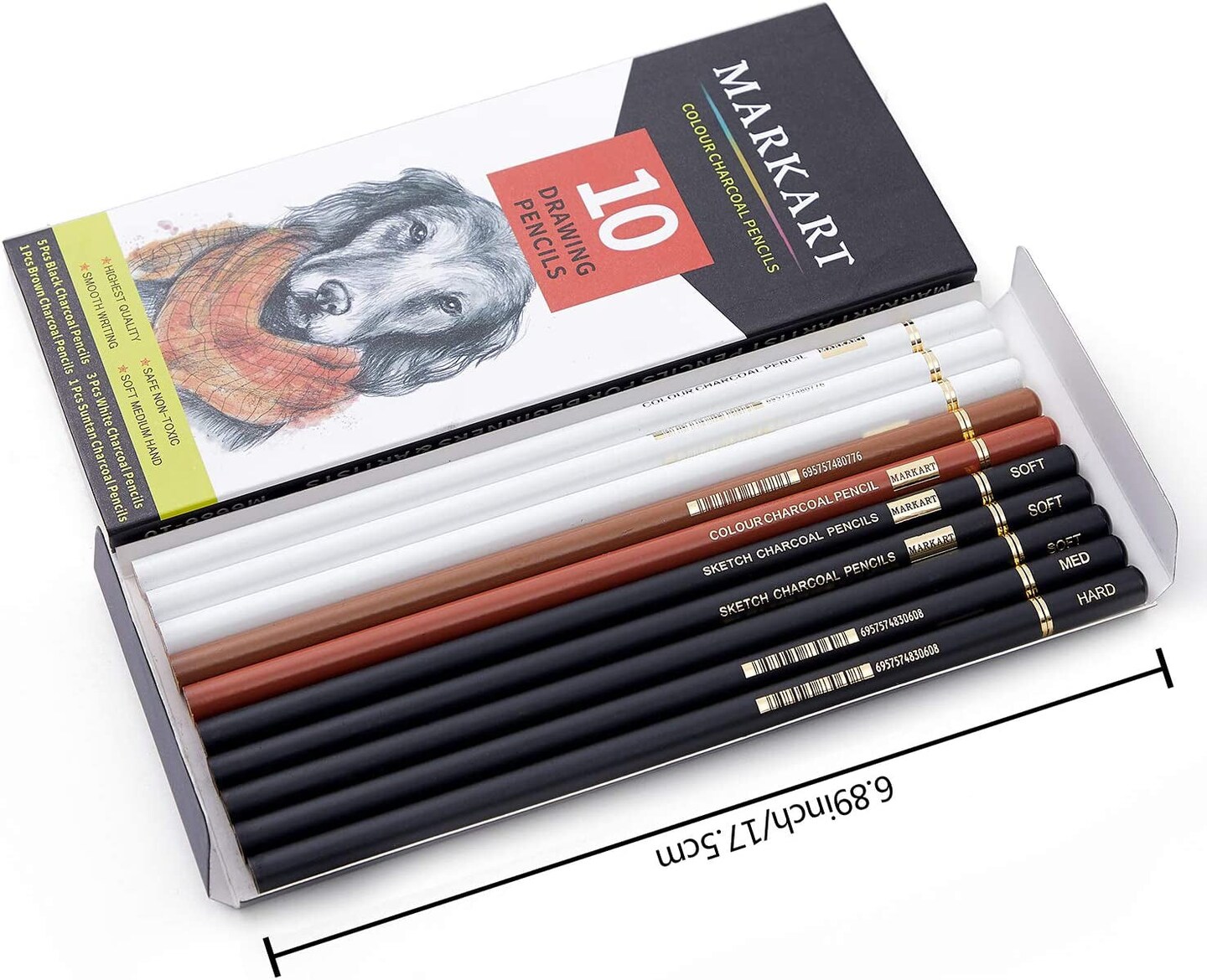 Professional Colored Charcoal Pencils Drawing Set, 10 Pieces Black White  Charcoal Pencils for Sketching, Shading, Blending, Pastel Chalk Pencils for  Beginners & Artists