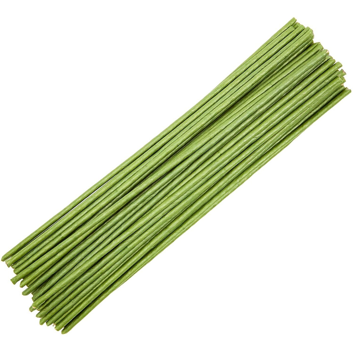Floral Flower Wire Stems for Flower Arranging (Green, 16 in, 3 Gauge, 45 Count)