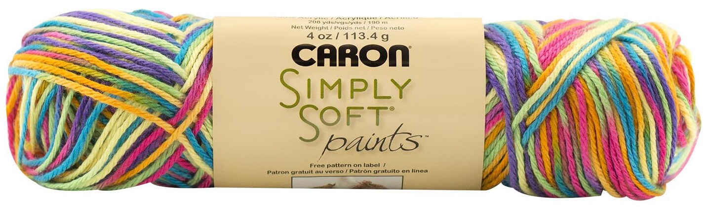 Multipack of 24 - Caron Simply Soft Paints Yarn-Rainbow Bright