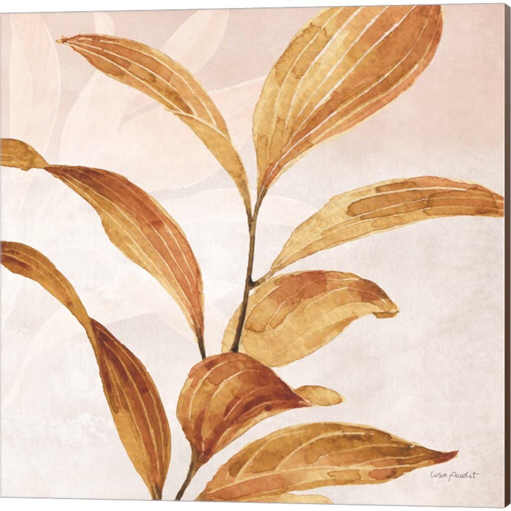 Terra A by Lisa Audit 14&#x22; x 14&#x22; Canvas Wall Art (Set of 2)