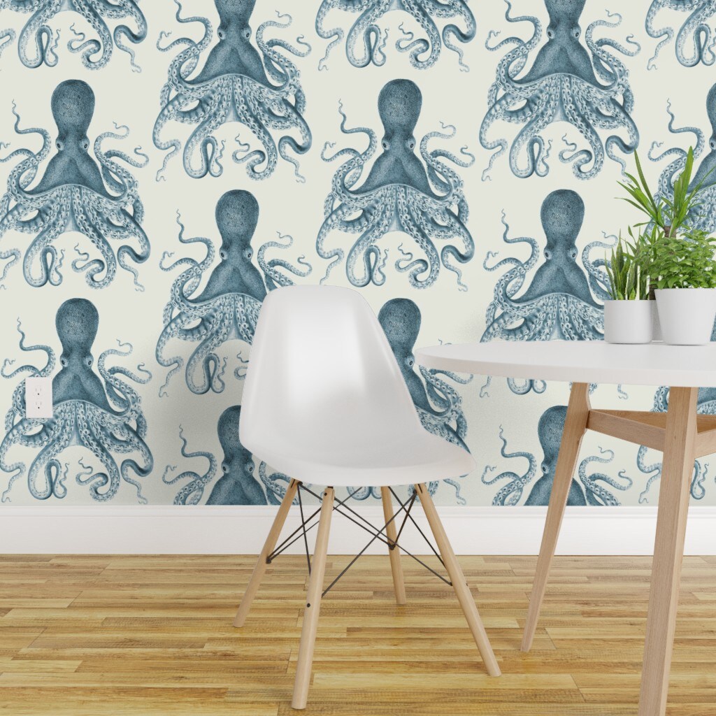 Gorgeous Where Can I Buy Octopus View Concept Gorgeous Where Can I Buy Octopus View Concept