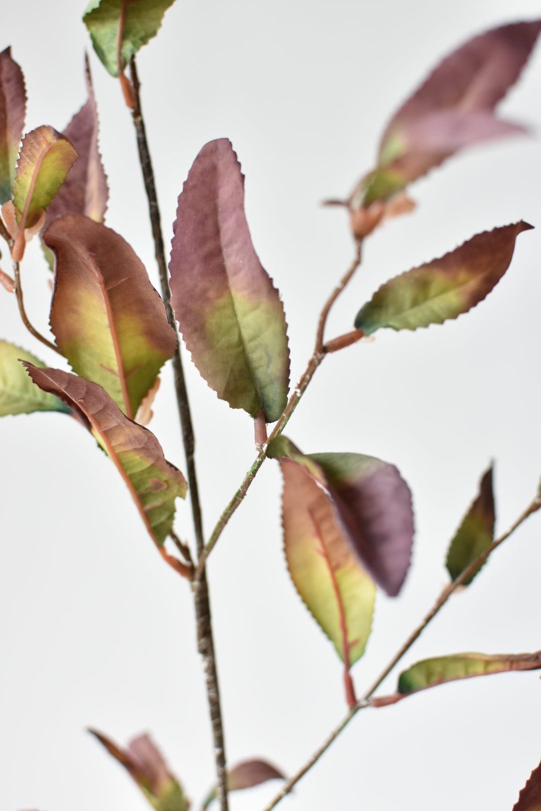 48&#x22; Faux Dried Chokeberry Fall Foliage Stem - Dried Eggplant Brown