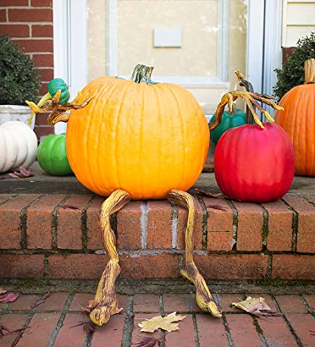 Plow & Hearth Set of 4 Bendable Pumpkin Arms and Legs | Create Whimsical Halloween Decor | Spooky Vine Design | Includes 2 arms and 2 Legs